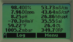 Multiparameter handheld-meter HI 9829-xxxxx